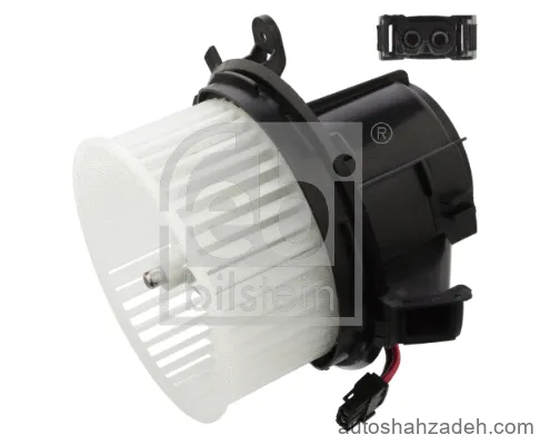 فن بخاری  فبی بیلشتاین-106361