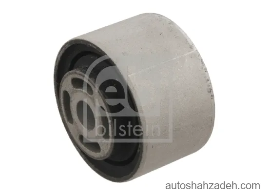 بوش دیفرانسیل  عقب  فبی بیلشتاین-29803