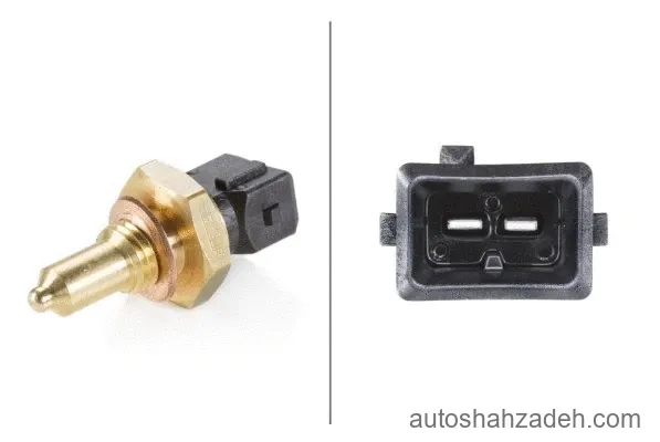 فشنگی روغن موتور  هلا-6PT009107-851